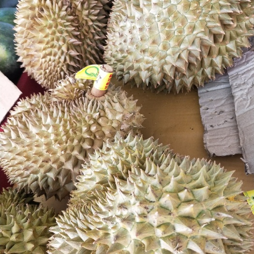 南宁金枕头榴莲 软绵绵！甜滋滋！水果皇后