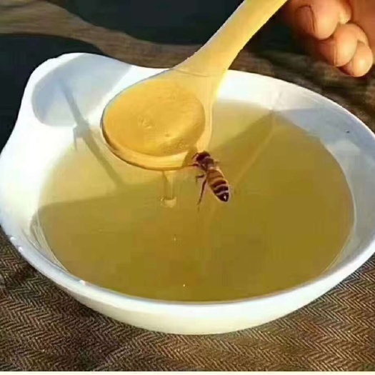 奈曼旗 椴树蜜，拒绝底价假蜂蜜    每瓶2斤