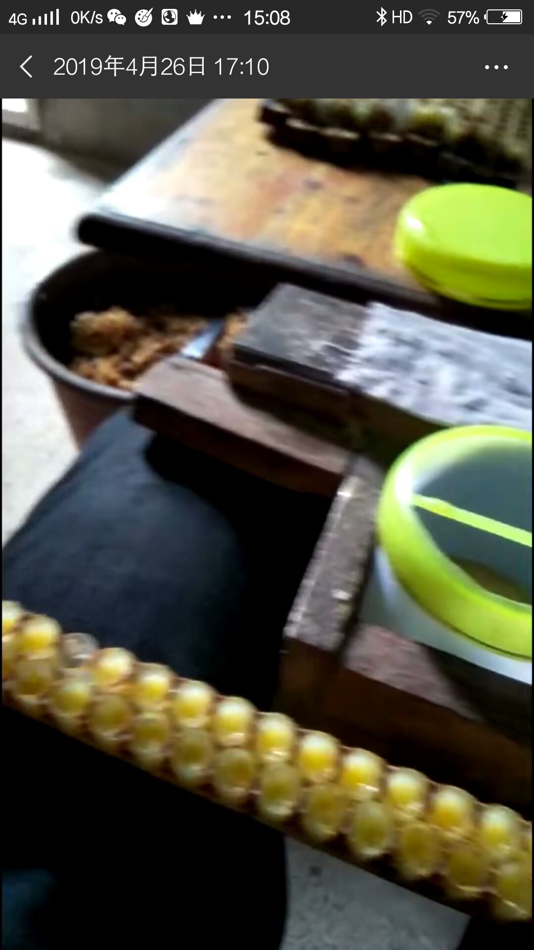 蜂皇浆  蜂王浆，蜜蜂分泌的王浆蜂王食用的，人为的掠食所得。