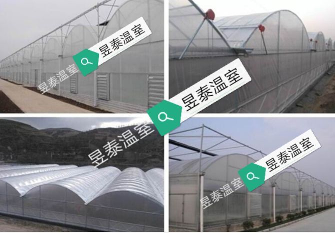 泊头市薄膜连栋温室阳光板蔬菜大棚育苗温室智能温室大棚