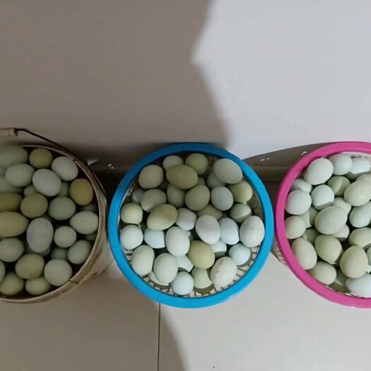 宁乡市 正宗土鸡蛋（绿壳）