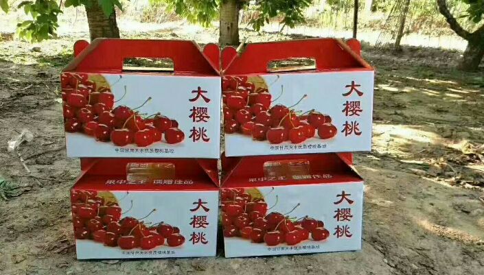 天水 天水大樱桃，有想要的连系。今天在树上，明天在路上，后天在你嘴