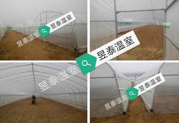 泊头市温室大棚春秋棚冷棚插地棚简易大棚薄膜大棚钢架大棚蘑菇菌棚