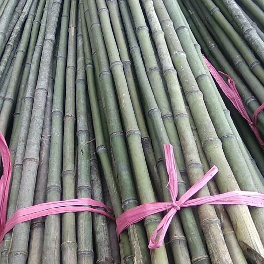  各种规格竹子竹竿批发2-3米架杆，4-8米大棚竹竿，竹片，