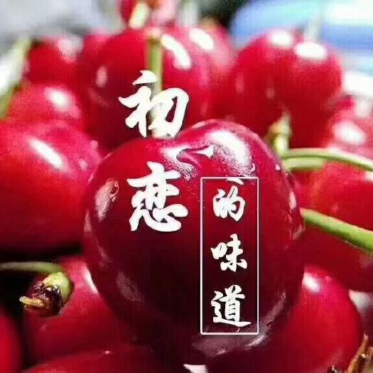 费县 有，要什么品种樱桃