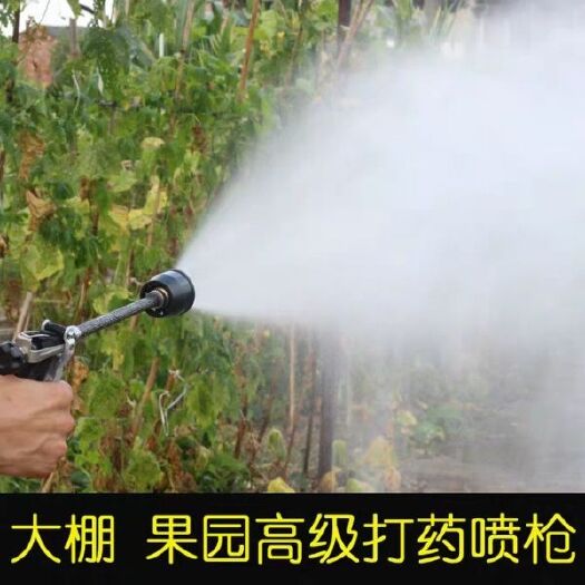 临海市新品澳林雾化喷枪农用机动喷雾器高压打药喷枪果树喷雾