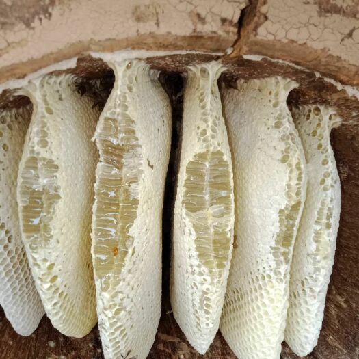 勐腊县 天然野生蜂蜜