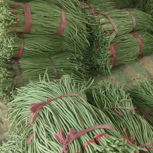 莘县 优质豆角大量上市，降价了降价了诚招收购商
