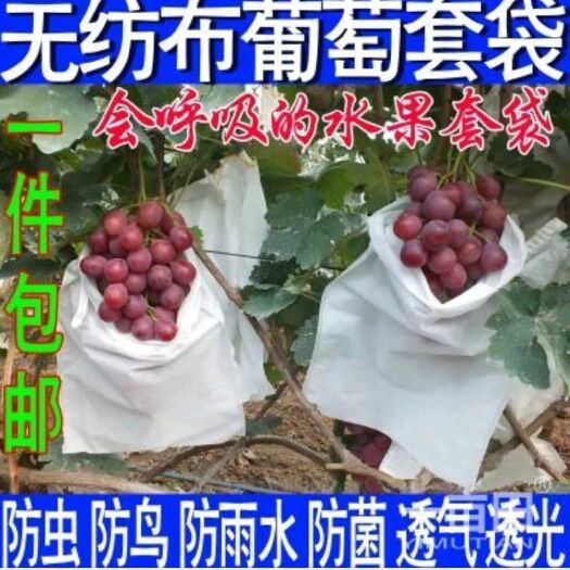 桐城市 葡萄套袋 无纺布葡萄水果套袋  自带扎丝