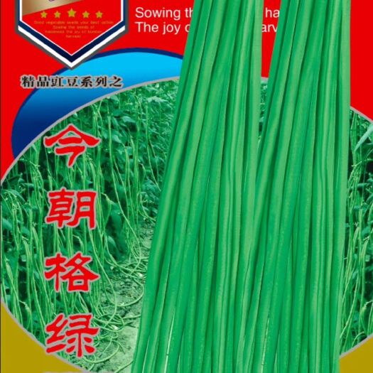长豇豆 公司新包装