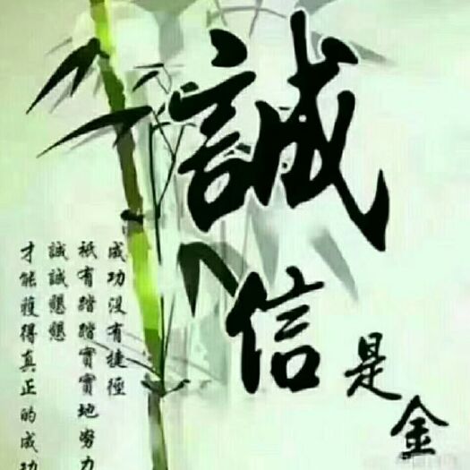 费县黄杏 合作共赢