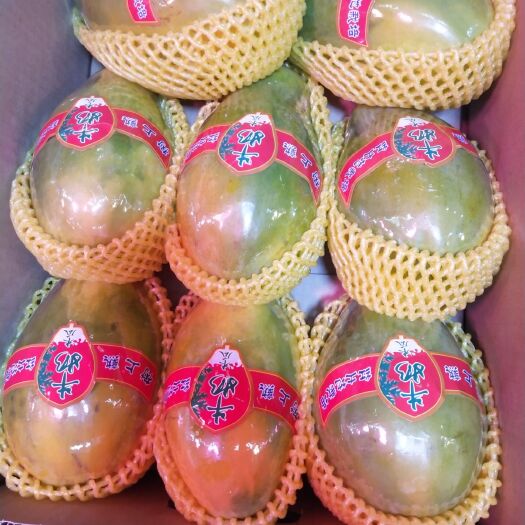 深圳牛奶甜瓜 牛奶木瓜  又红又甜