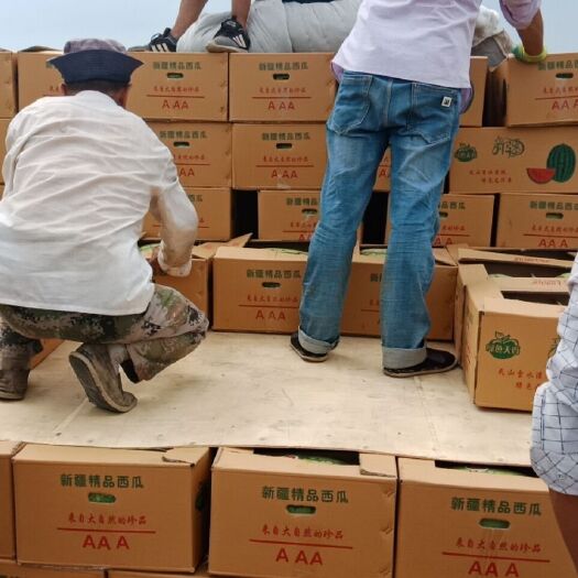 吐鲁番安农二号西瓜 金城安农皮薄甜度高