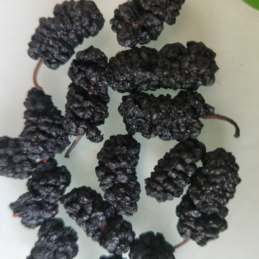 泊头市桑椹 大量供应桑葚干，药用级食用级，欢迎批发商前来洽谈