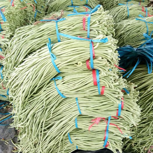 大名县 精品长豆角，大量上市了，欢迎采购。