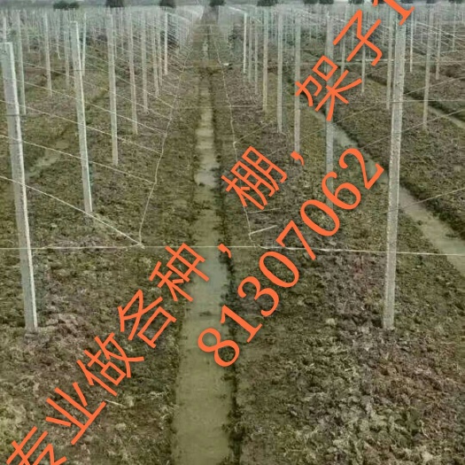 兴安县立柱