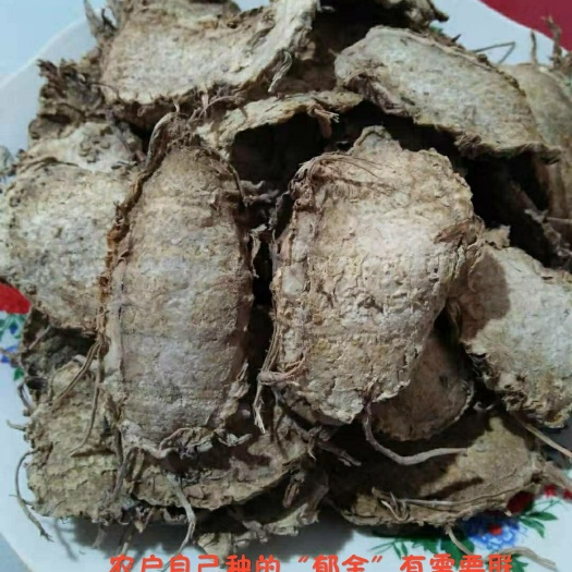 浦城县 农户自种天然郁金！