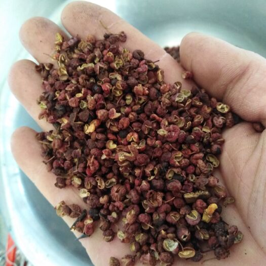 济南山东花椒 山东小椒
