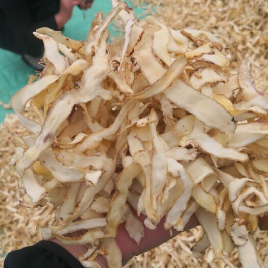 邵东市 玉竹片 湘玉竹片 湘玉竹 食用玉竹