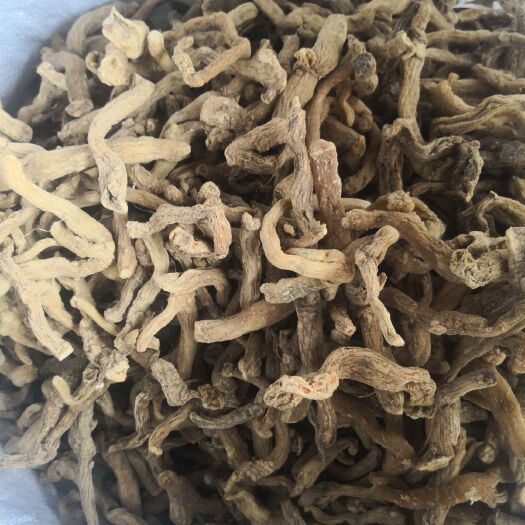 邵东市 湘玉竹