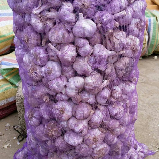 弥渡县白皮大蒜 混级统货 多瓣蒜