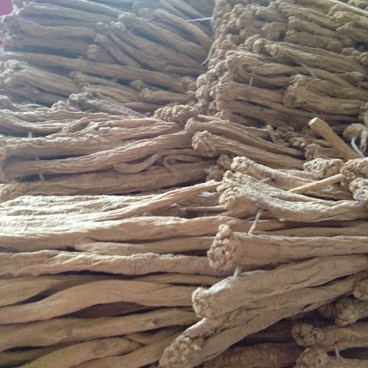 陇南白条党参 做我客户，我宠你一辈子。