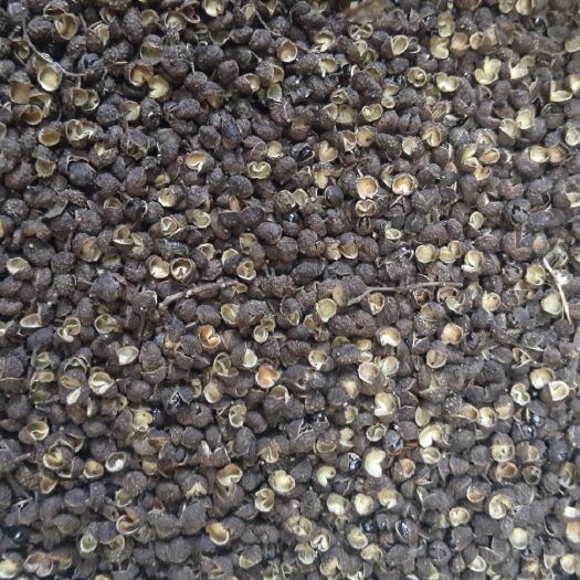 重庆市青花椒 一级 干花椒