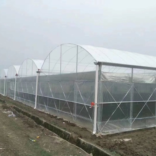 沭阳县 连栋棚草莓棚蔬菜连栋棚种植大棚