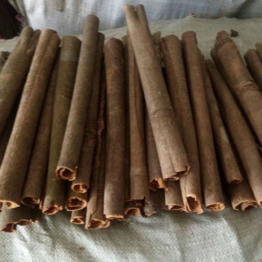 东兴市普通桂皮 中通