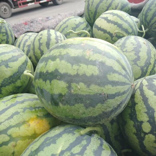 大同 西瓜产地直销