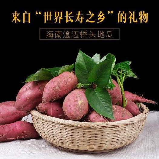 澄迈县板栗薯  产地海南桥头富硒地瓜   口感粉糯  10斤装中果