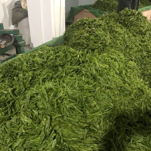 雷山县 苗疆圣地产圣茶。高山绿茶无污染，特极有机茶。