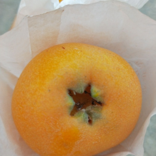 宝兴县原生枇杷 统货