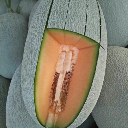 寿光市 长香玉