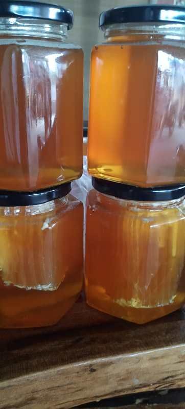 景洪市 云南西双版纳野生蜂蜜，排蜂，中华蜂