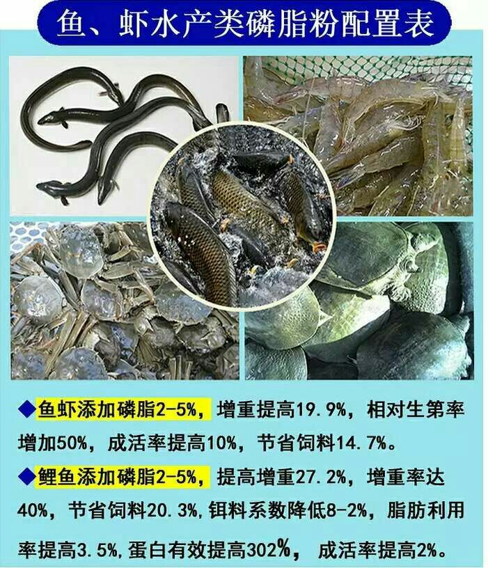 水产养殖饲料  厂家直销秘鲁超级68蛋白鱼粉蛋鸭猪鸡