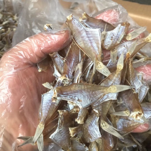 饶平县剥皮鱼 拔皮鱼