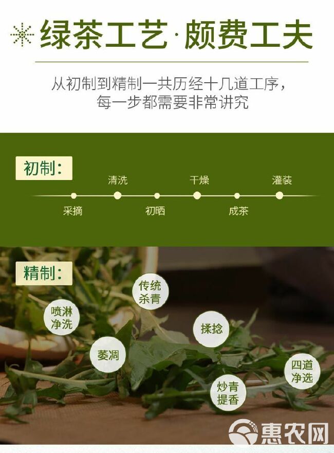 蒲公英茶50克长白山蒲公英凉茶