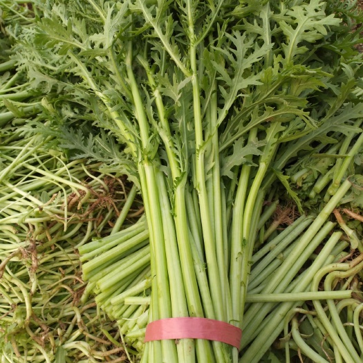邹平市 小叶茼蒿质优价廉
