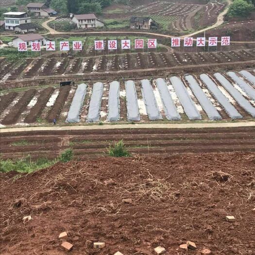 蒲江县兔粪 蒲江绿地科技有限公司