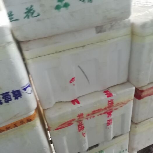 扬州 高考来了！为酒店提供放心蒲菜！