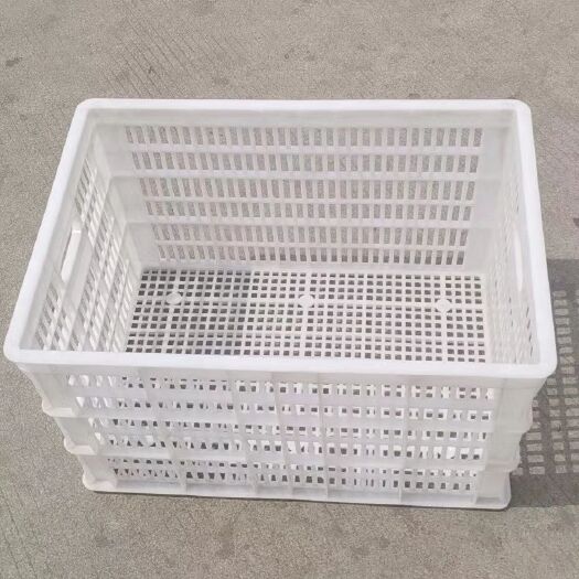 常州 塑料筐  水果蔬菜周转筐龙虾鸡蛋运输框