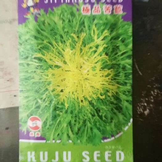 农安县 苦菊种子