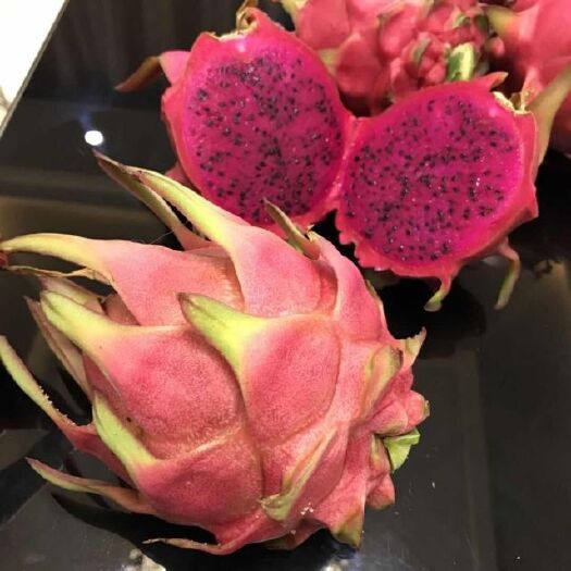 楚雄市 红芯火龙果苗