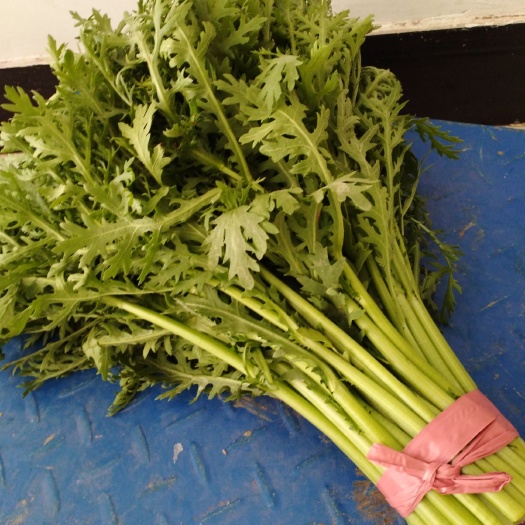 邹平市 小叶茼蒿