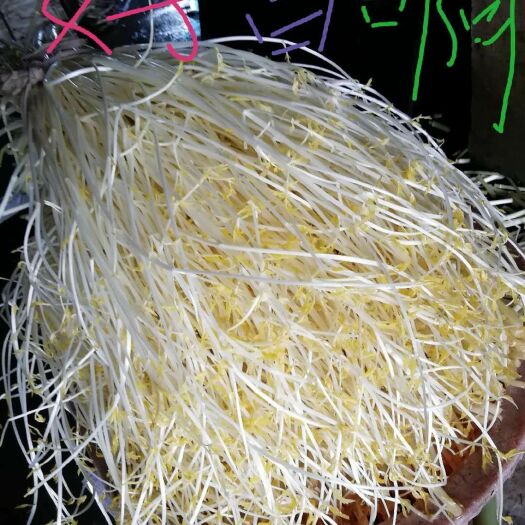 安顺白芹 45~50cm 0.5斤以下 大棚种植