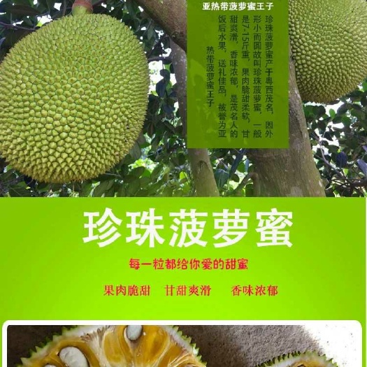 廉江市 蜂蜜味珍珠菠萝蜜，甜过初恋！