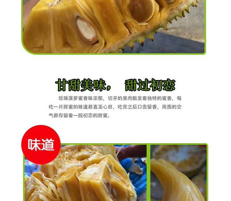 红肉菠萝蜜 优质新品种