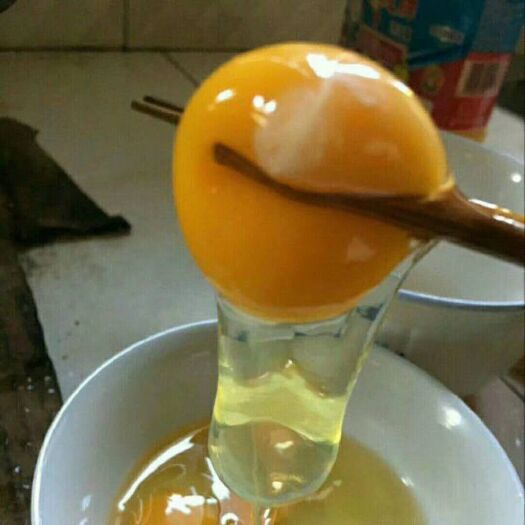 孝感 土鸡蛋，