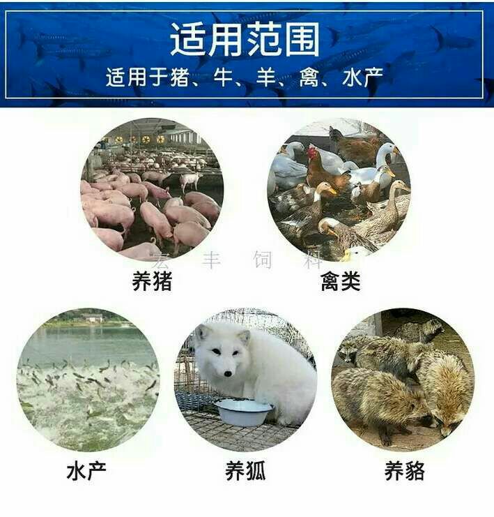 饲料添加剂  饲料鱼海鱼新货鱼干鸡鸭猪水产甲鱼螃蟹海鱼干量大优惠